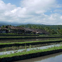 Photo de Bali - Banjar et Gitgit